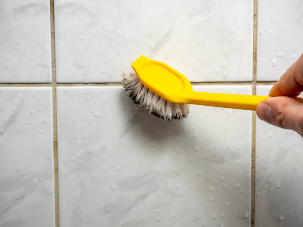 Best Local Mold Removal Service  in Calabash, NC