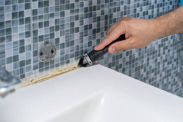 Best Office Mold Removal Services  in Calabash, NC