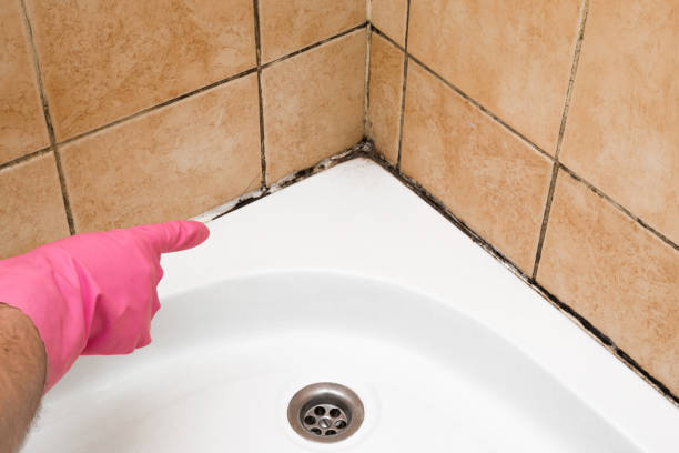 Crawl Space Mold Removal in Calabash, NC
